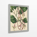 Belleza Botánica I-II - Vision Studio | Cuadro decorativo de Canvas Lab