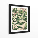 Belleza Botánica II-II - Vision Studio | Cuadro decorativo de Canvas Lab