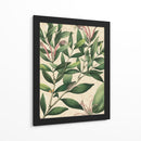 Belleza Botánica II-II - Vision Studio | Cuadro decorativo de Canvas Lab