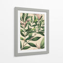 Belleza Botánica II-II - Vision Studio | Cuadro decorativo de Canvas Lab