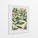 Belleza Botánica II-II - Vision Studio | Cuadro decorativo de Canvas Lab