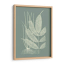 Helechos En Sage Ii - Vision Studio | Cuadro decorativo de Canvas Lab