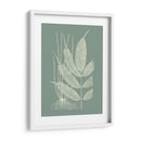 Helechos En Sage Ii - Vision Studio | Cuadro decorativo de Canvas Lab