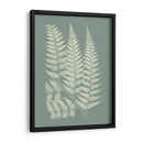 Helechos En Sage Iii - Vision Studio | Cuadro decorativo de Canvas Lab