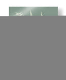 Helechos En Sage Iii - Vision Studio | Cuadro decorativo de Canvas Lab