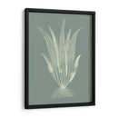 Helechos En Sage Iv - Vision Studio | Cuadro decorativo de Canvas Lab