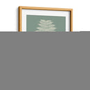 Helechos En Sabio V - Vision Studio | Cuadro decorativo de Canvas Lab