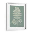 Helechos En Sabio V - Vision Studio | Cuadro decorativo de Canvas Lab