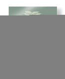 Helechos En Sabio V - Vision Studio | Cuadro decorativo de Canvas Lab