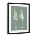 Helechos En Sabio Vi - Vision Studio | Cuadro decorativo de Canvas Lab