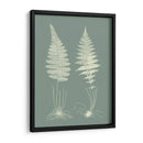 Helechos En Sabio Vi - Vision Studio | Cuadro decorativo de Canvas Lab