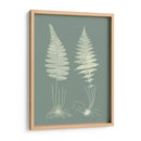 Helechos En Sabio Vi - Vision Studio | Cuadro decorativo de Canvas Lab