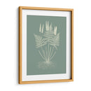 Helechos En Sabio Vii - Vision Studio | Cuadro decorativo de Canvas Lab