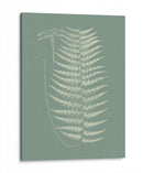 Helechos En Sabio Viii - Vision Studio | Cuadro decorativo de Canvas Lab