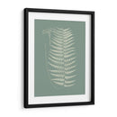 Helechos En Sabio Viii - Vision Studio | Cuadro decorativo de Canvas Lab