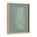 Helechos En Sabio Viii - Vision Studio | Cuadro decorativo de Canvas Lab