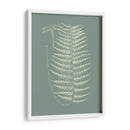 Helechos En Sabio Viii - Vision Studio | Cuadro decorativo de Canvas Lab