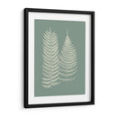 Helechos En Sage Ix - Vision Studio | Cuadro decorativo de Canvas Lab