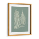 Helechos En Sage Ix - Vision Studio | Cuadro decorativo de Canvas Lab