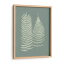 Helechos En Sage Ix - Vision Studio | Cuadro decorativo de Canvas Lab