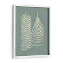Helechos En Sage Ix - Vision Studio | Cuadro decorativo de Canvas Lab