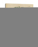 Laurel No Adornado | Cuadro decorativo de Canvas Lab