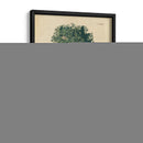 Laurel No Adornado | Cuadro decorativo de Canvas Lab