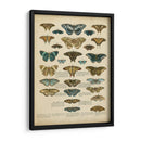 Tabula De Papilio - Edward Step | Cuadro decorativo de Canvas Lab
