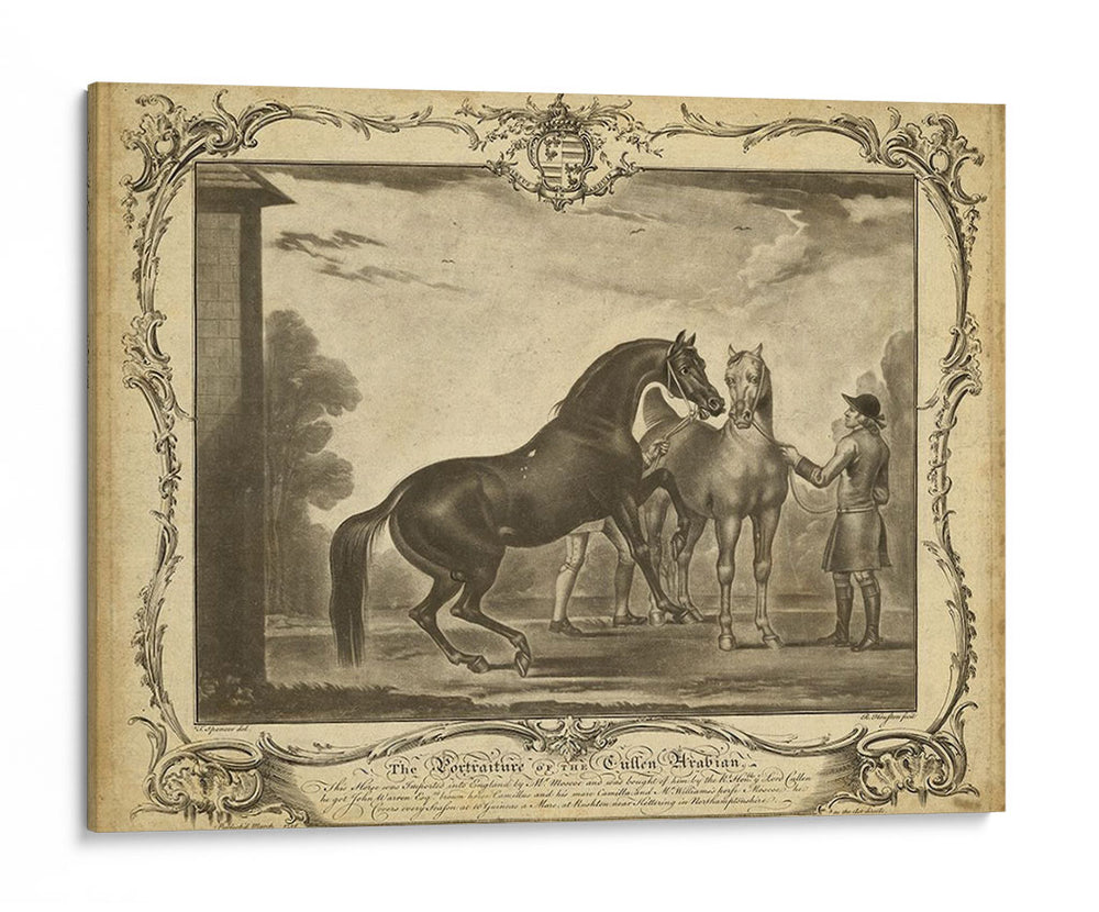 Distinguidos Caballos Iii | Cuadro decorativo de Canvas Lab