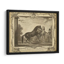 Distinguidos Caballos Iii | Cuadro decorativo de Canvas Lab