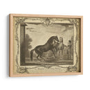 Distinguidos Caballos Iii | Cuadro decorativo de Canvas Lab