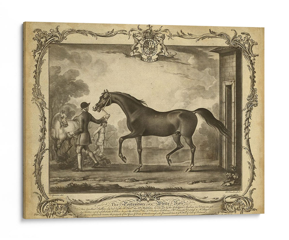 Distinguidos Caballos Iv | Cuadro decorativo de Canvas Lab