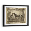 Distinguidos Caballos Iv | Cuadro decorativo de Canvas Lab