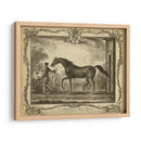 Distinguidos Caballos Iv | Cuadro decorativo de Canvas Lab