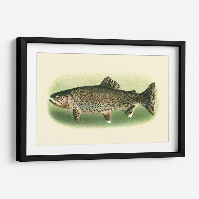 River Trout I | Cuadro decorativo de Canvas Lab