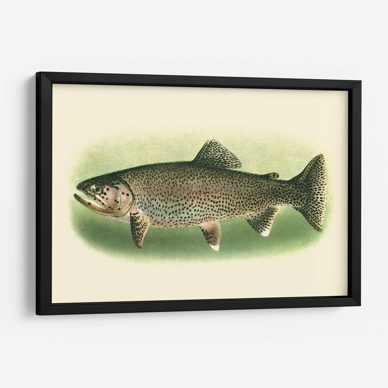 River Trout I | Cuadro decorativo de Canvas Lab