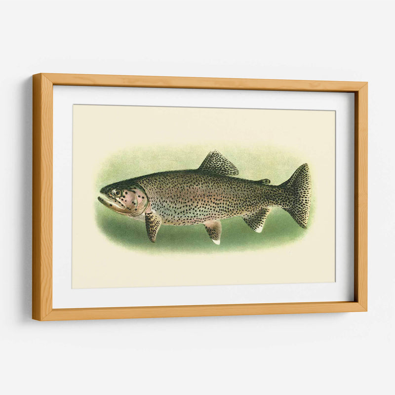 River Trout I | Cuadro decorativo de Canvas Lab