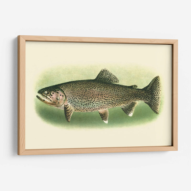 River Trout I | Cuadro decorativo de Canvas Lab