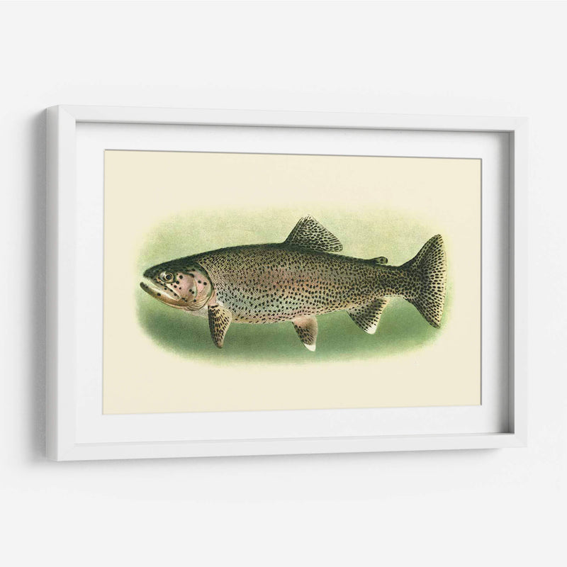 River Trout I | Cuadro decorativo de Canvas Lab