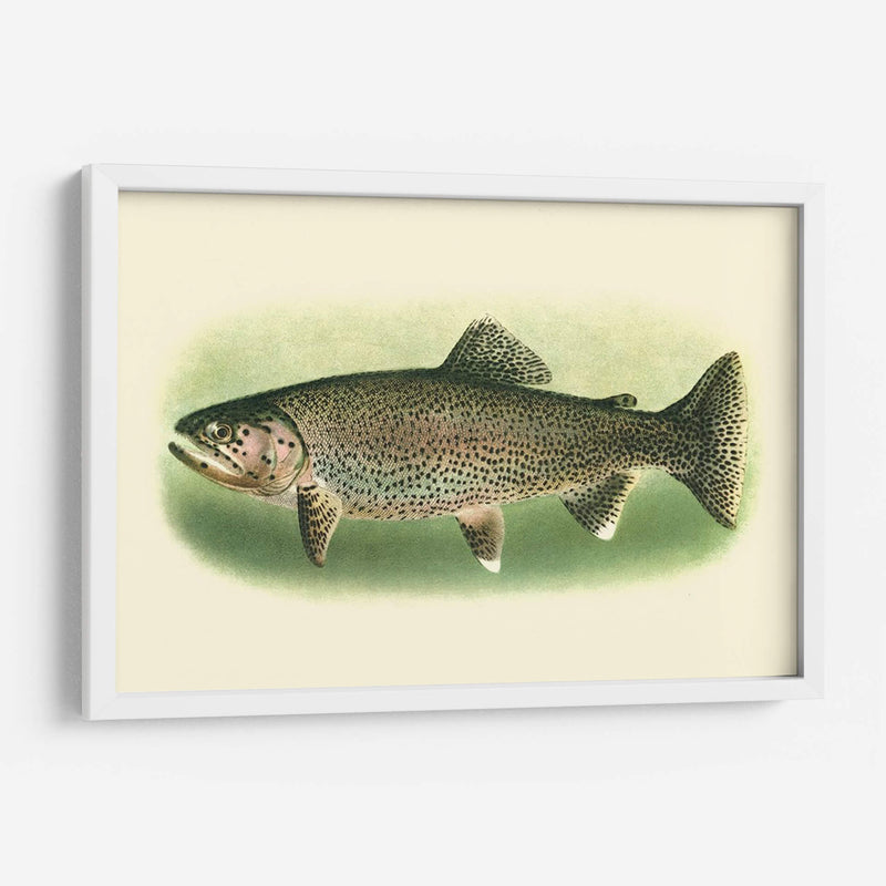 River Trout I | Cuadro decorativo de Canvas Lab