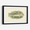 River Trout Iv | Cuadro decorativo de Canvas Lab