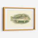 River Trout Iv | Cuadro decorativo de Canvas Lab