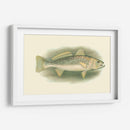 River Trout Iv | Cuadro decorativo de Canvas Lab