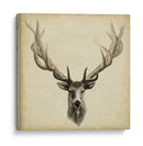 Tríptico Elk Cuadrado - Grace Popp | Cuadro decorativo de Canvas Lab