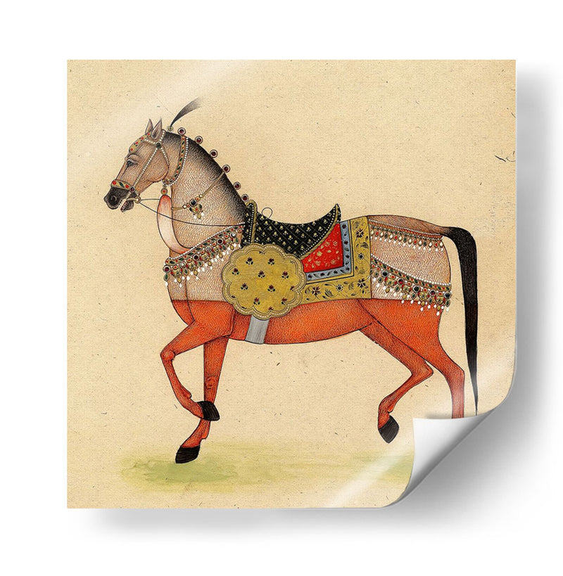 Caballo De La India I - Von Wright | Cuadro decorativo de Canvas Lab