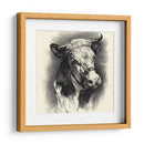 Ganado Antiguo I - Illuminations | Cuadro decorativo de Canvas Lab