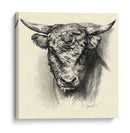 Ganado Antiguo Iii - Illuminations | Cuadro decorativo de Canvas Lab