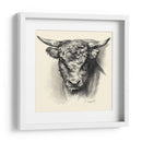 Ganado Antiguo Iii - Illuminations | Cuadro decorativo de Canvas Lab