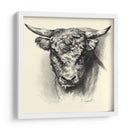 Ganado Antiguo Iii - Illuminations | Cuadro decorativo de Canvas Lab