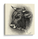 Ganado Antiguo Iv - Illuminations | Cuadro decorativo de Canvas Lab